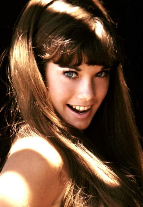 hot barbi benton|30 Fabulous Photos of a Young Barbi Benton in the .